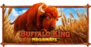 ภาพเกม Buffalo King Megaways ที่ 168amb รวบรวมไว้